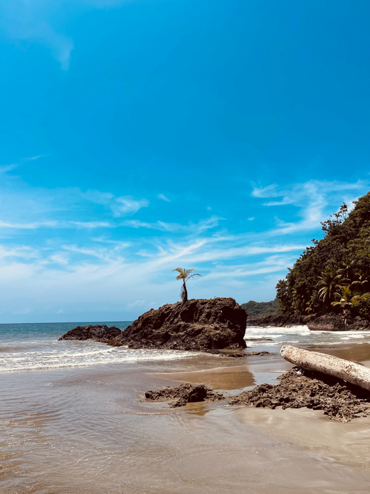 Ecoturismo: el verdadero lujo es estar sin alterar