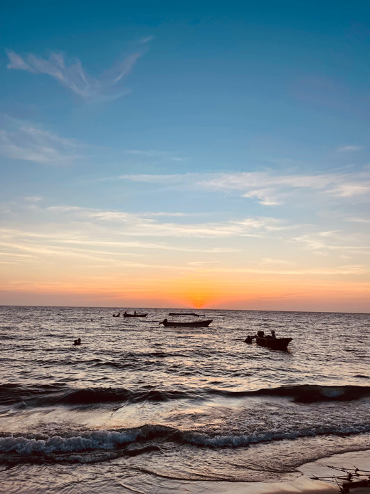 Isla Fuerte | Isla Consciente